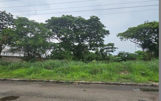 Terreno en Venta en la Zona Industrial El Recreo Valencia